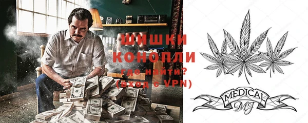 МДПВ Медногорск