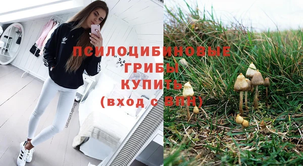 apvp Мегион