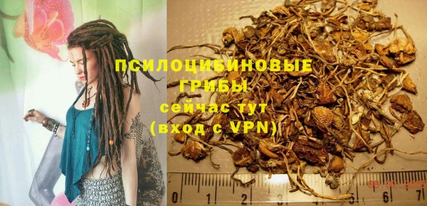 PSILOCYBIN Домодедово