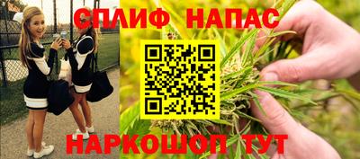 молекула духа Волжский