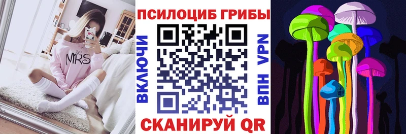 KRAKEN сайт  Ефремов  Галлюциногенные грибы Psilocybine cubensis 