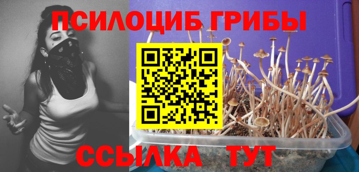 Псилоцибиновые грибы Magic Shrooms  Галлюциногенные грибы ЛСД  Вход с VPN  Ефремов 