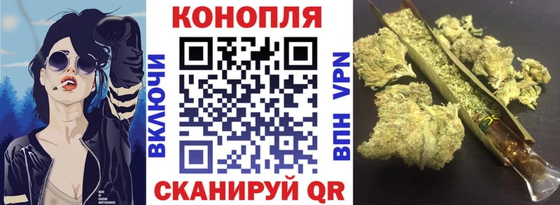 Канабис планчик  купить закладку  Ефремов 